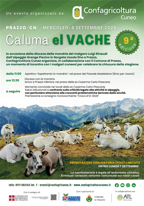 Caluma el Vache